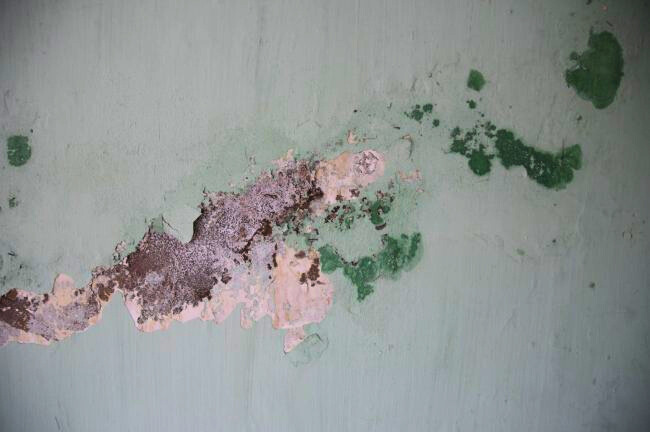 Moisture stains and mold on a wall