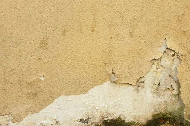 Wall decaying as a result of dampness