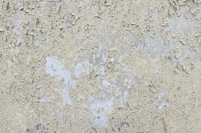 Flaky Plaster Due to Dampness