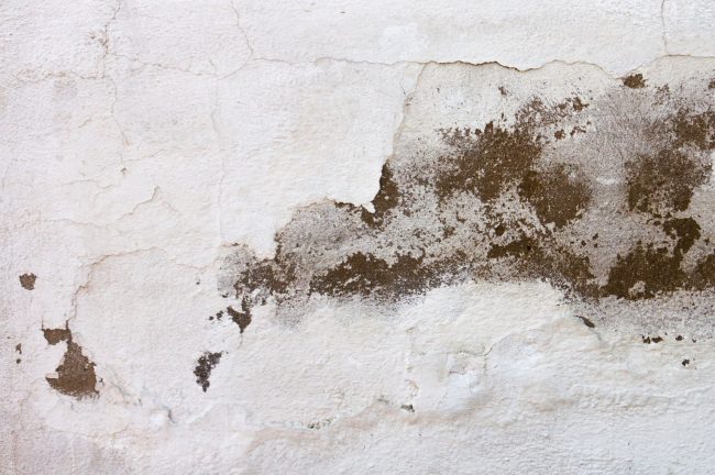 How is Rising Damp Treated on Internal Walls?