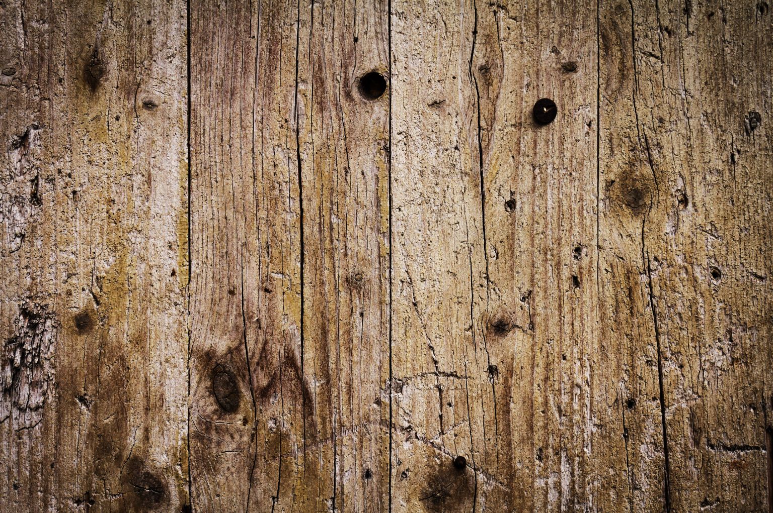 How To Tell If Woodworm Is Active?