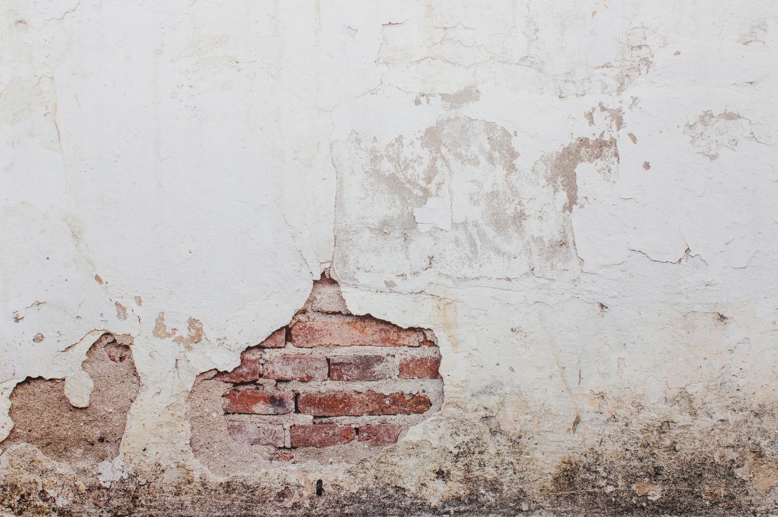 What Causes Rising Damp on Internal Walls?