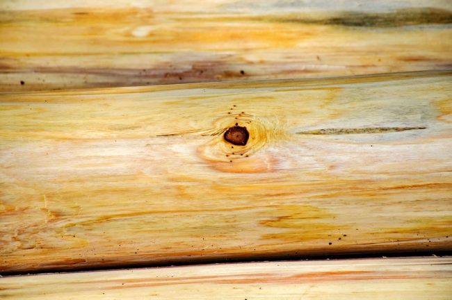 Woodworm Activity: Holes in Wood Furniture