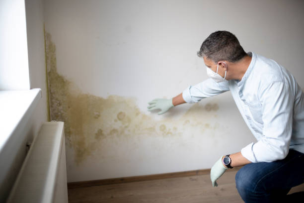 how to stop damp coming through walls
